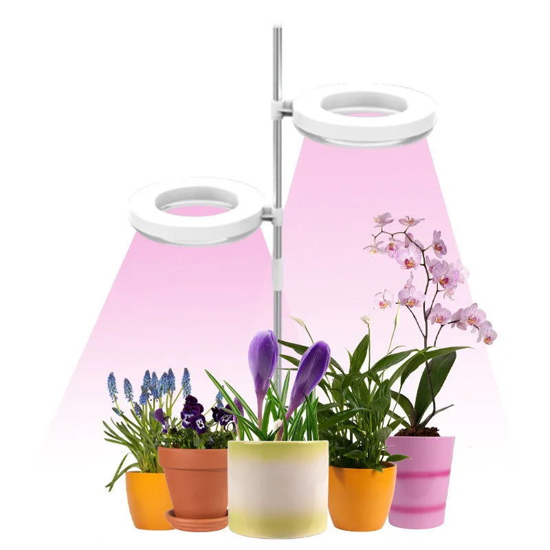 Compact white full spectrum LED plant growth light lamp on a wooden desk next to small potted succulents.