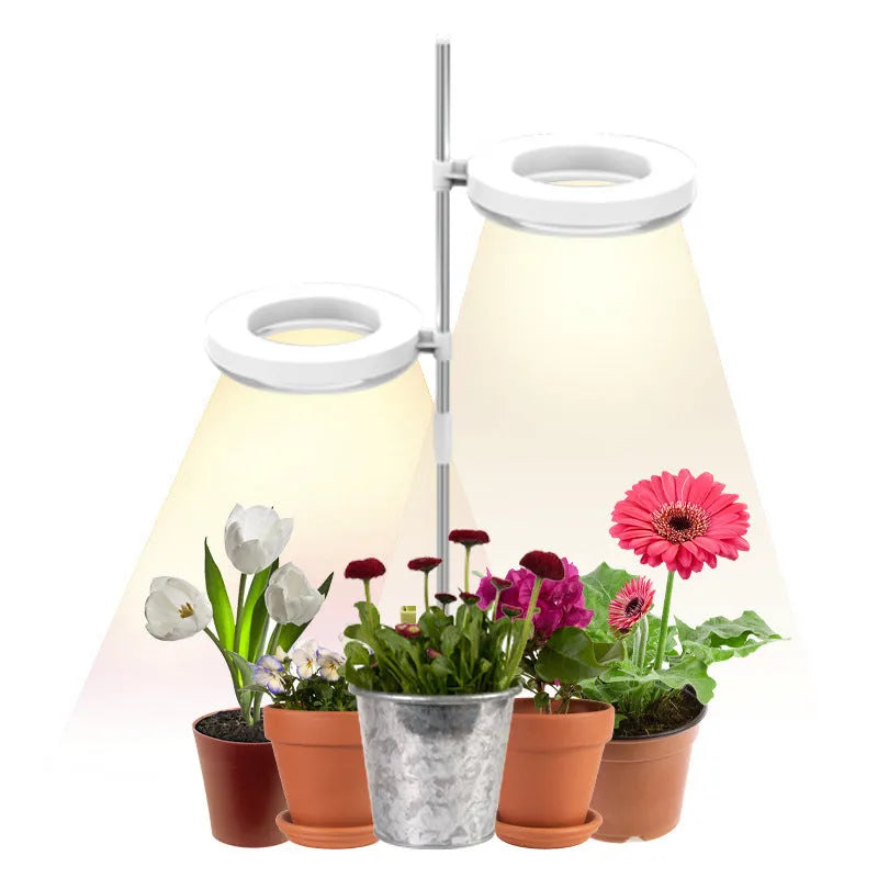 Compact white full spectrum LED plant growth light lamp on a wooden desk next to small potted succulents.