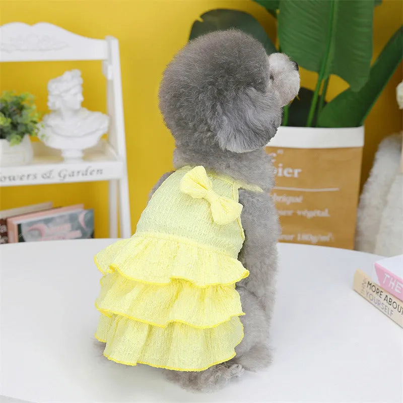 Small white dog wearing a rose red layered princess dress with a candy skirt.