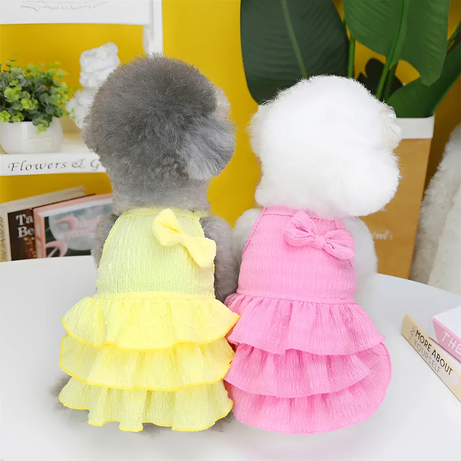Small white dog wearing a rose red layered princess dress with a candy skirt.