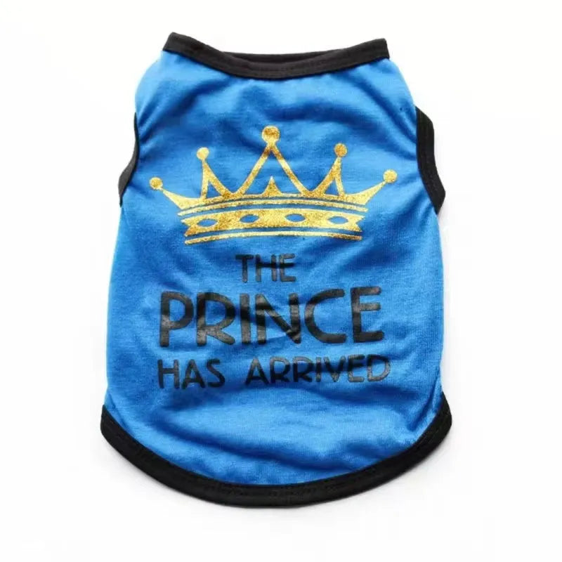 Light blue cotton puppy vest on small dog showing breathable summer design and proper fit