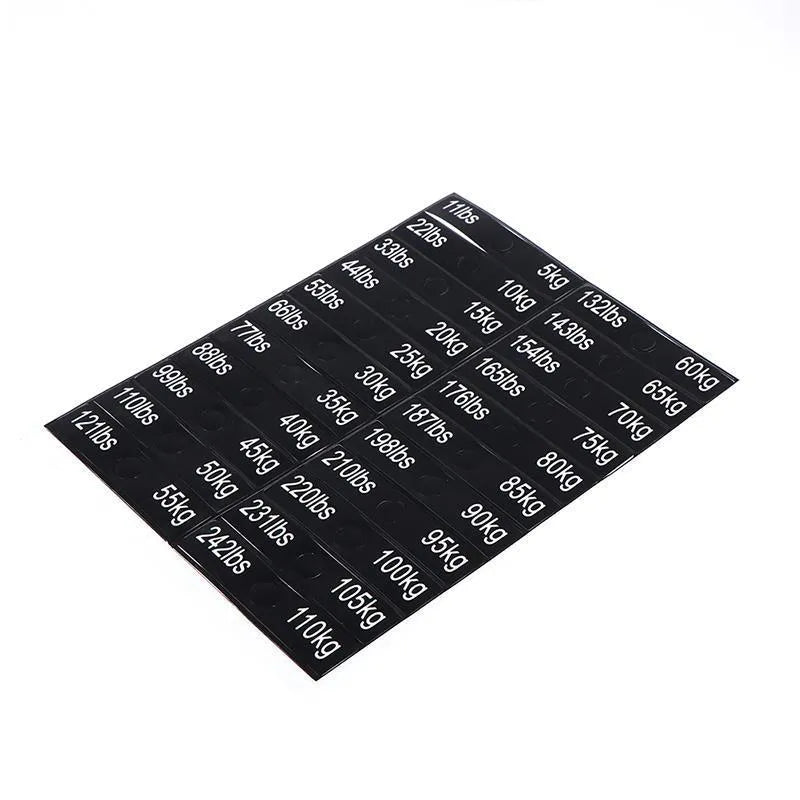 Gym weight sticker label 90x20mm Aspic colour with bolt holes showing 5-100kg scale