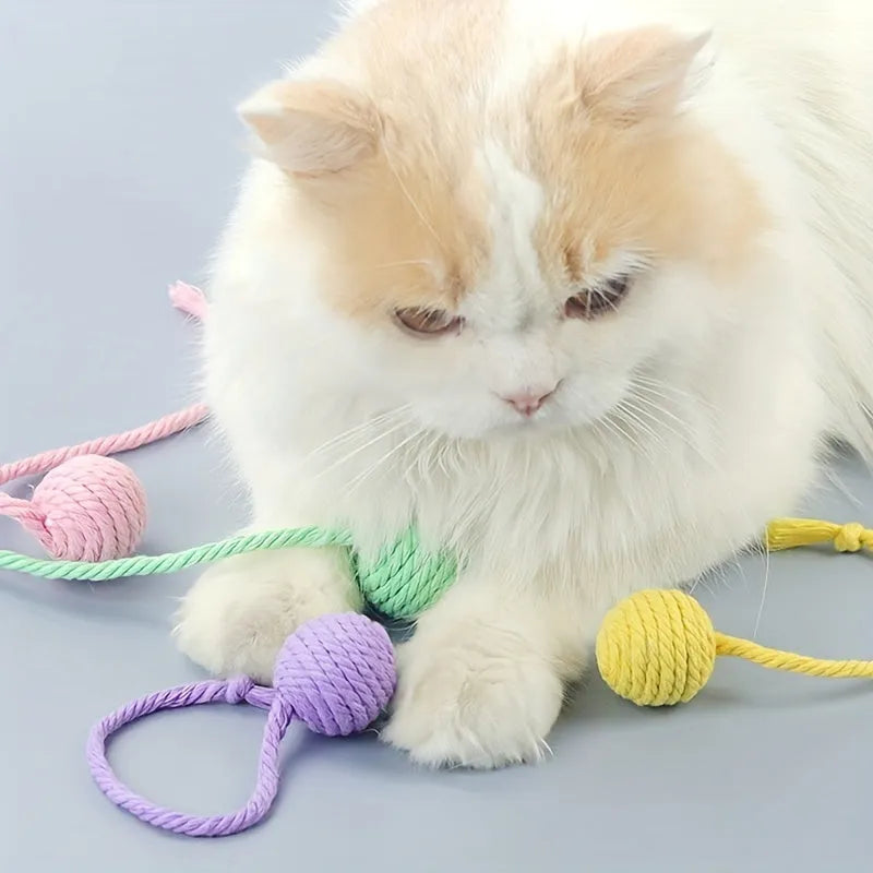 Interactive cat toy ball with rope attachment and built-in bell in green, pink, purple and yellow colours