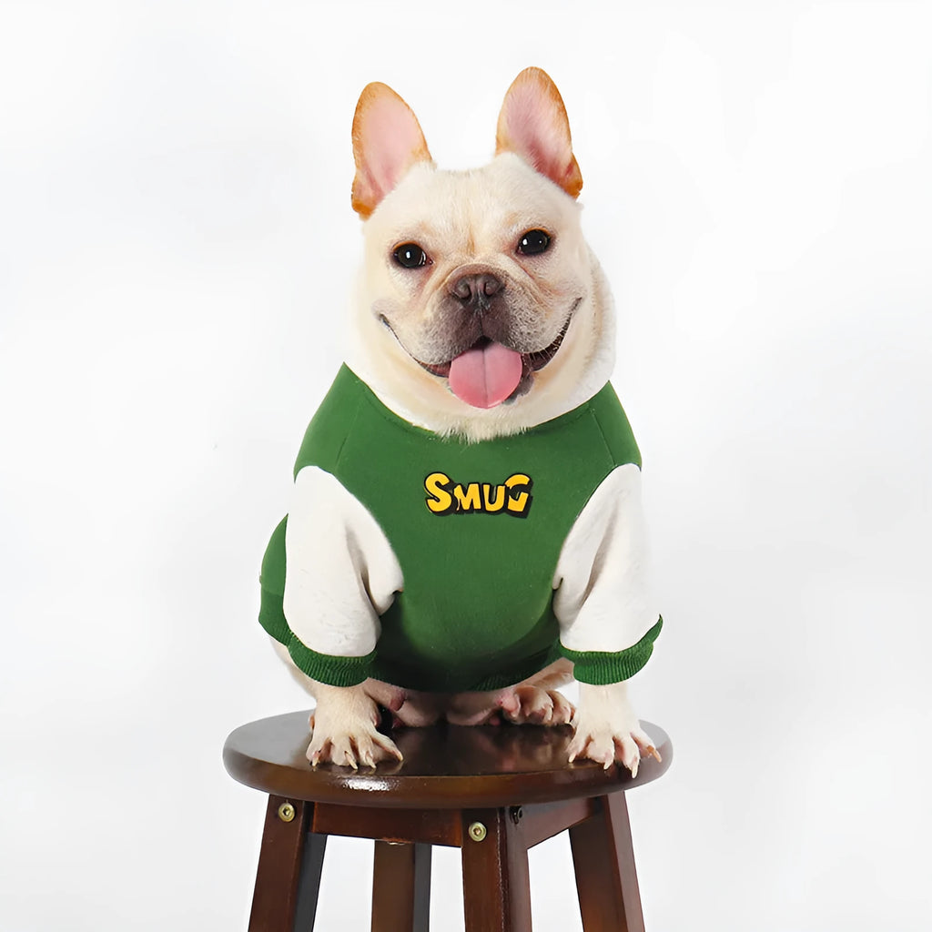 Green cotton pet clothing for dogs in autumn and winter seasons