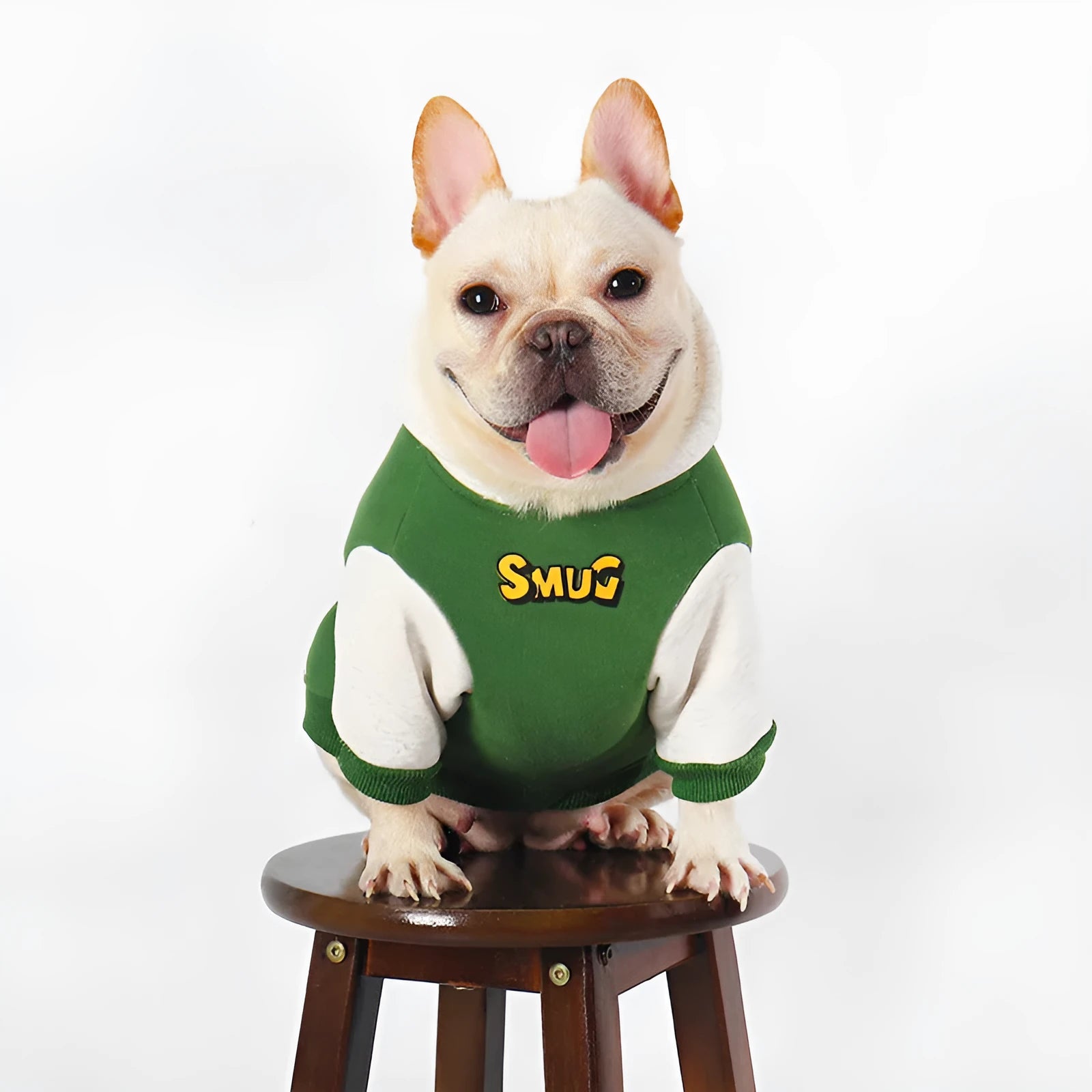Green cotton pet clothing for dogs in autumn and winter seasons