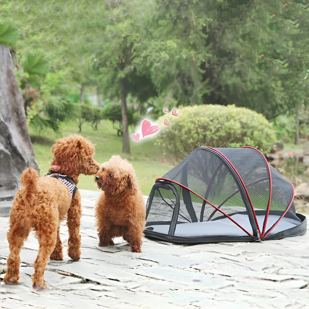 Portable folding cat tent with half mesh design in blue colour