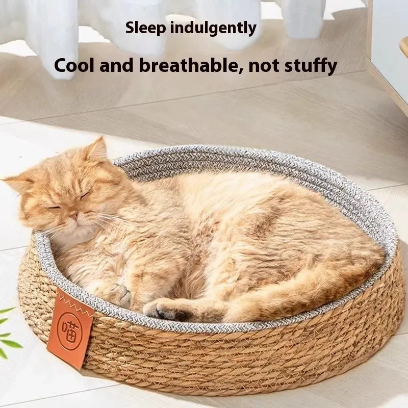 Rattan woven cat bed nest in cage style for indoor use, shown in size L.