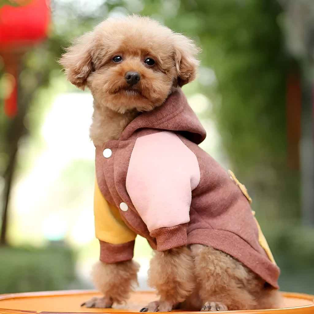 Brown cotton pet sweatshirt on dog showing size fit and casual design