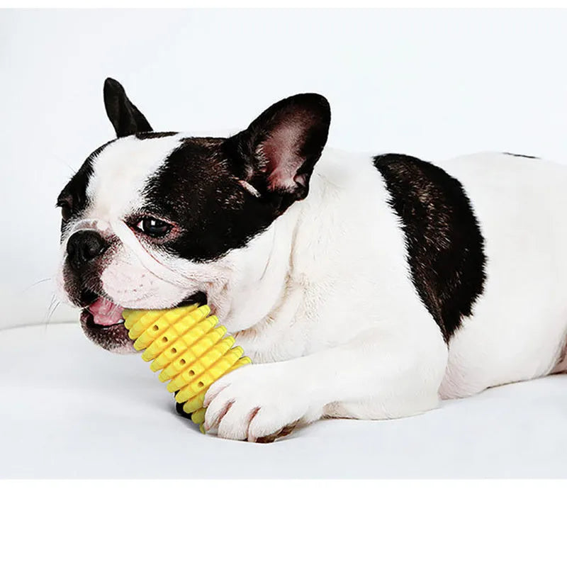 Dog corn molar stick chew toy with suction cup base in plastic, 111x56mm, 120g, green and yellow style