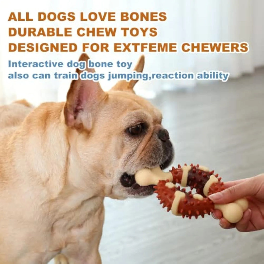 Natural rubber bone-shaped dog molar toy for teeth grinding in two sizes