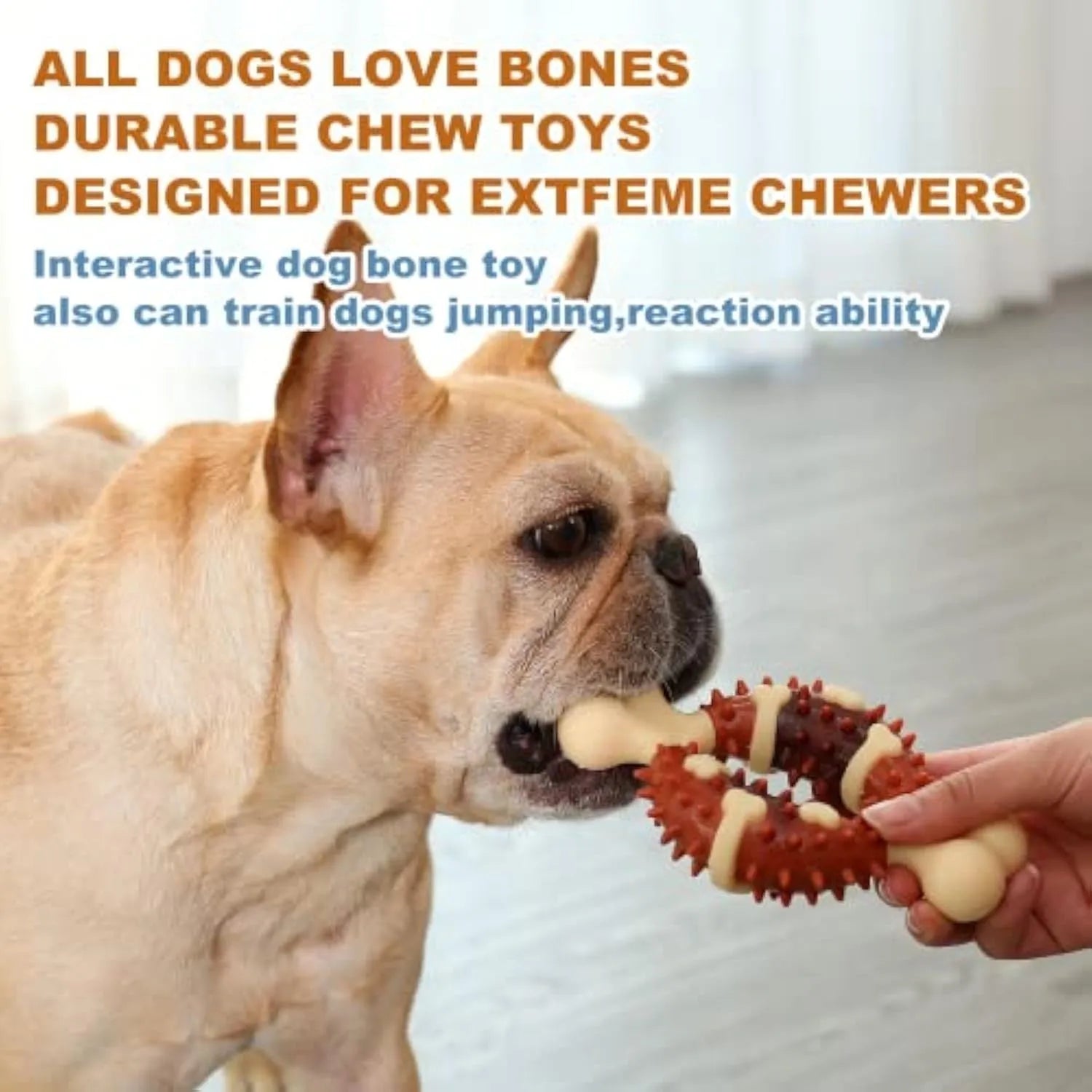 Natural rubber bone-shaped dog molar toy for teeth grinding in two sizes