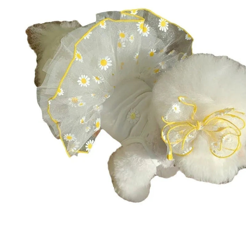 Yellow little daisy print thin polyester dog clothes on a model dog, sizes XS to XL.
