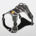 Orange reflective dog harness and leash combination for commuter safety, shown with size options.