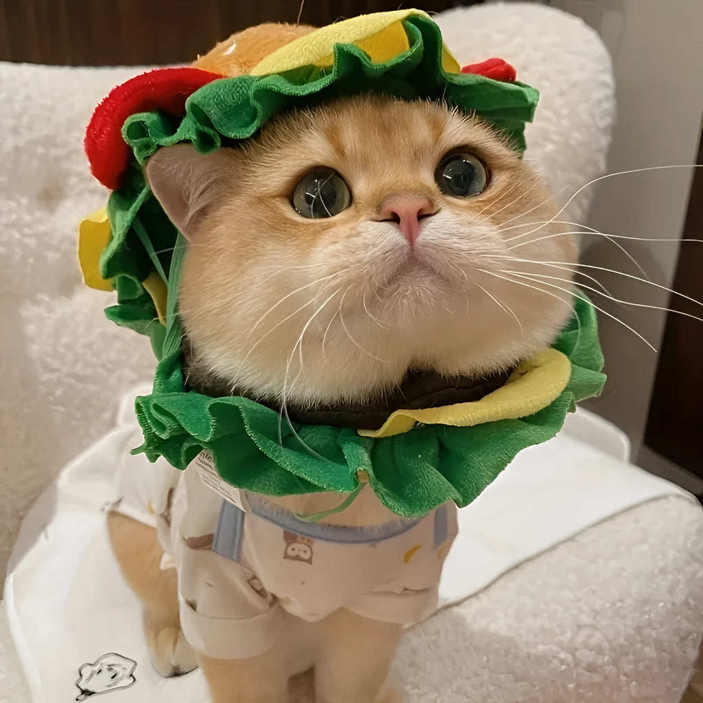 Cartoon burger fabric headdress collar for a small dog or cat on a table.