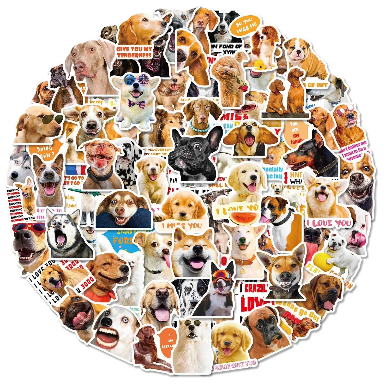 Nordic style realistic dog facial expression stickers pack showing three colour-coded sets with canine designs