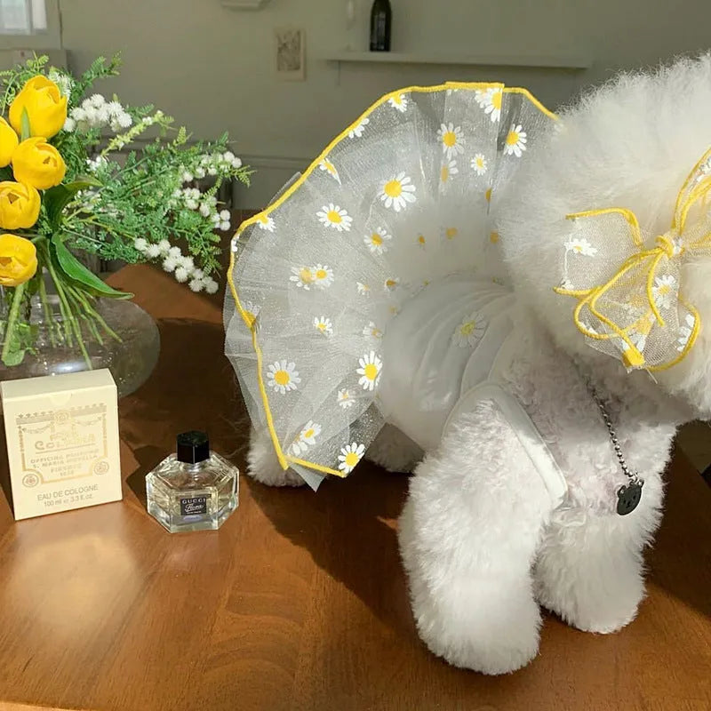 Yellow little daisy print thin polyester dog clothes on a model dog, sizes XS to XL.