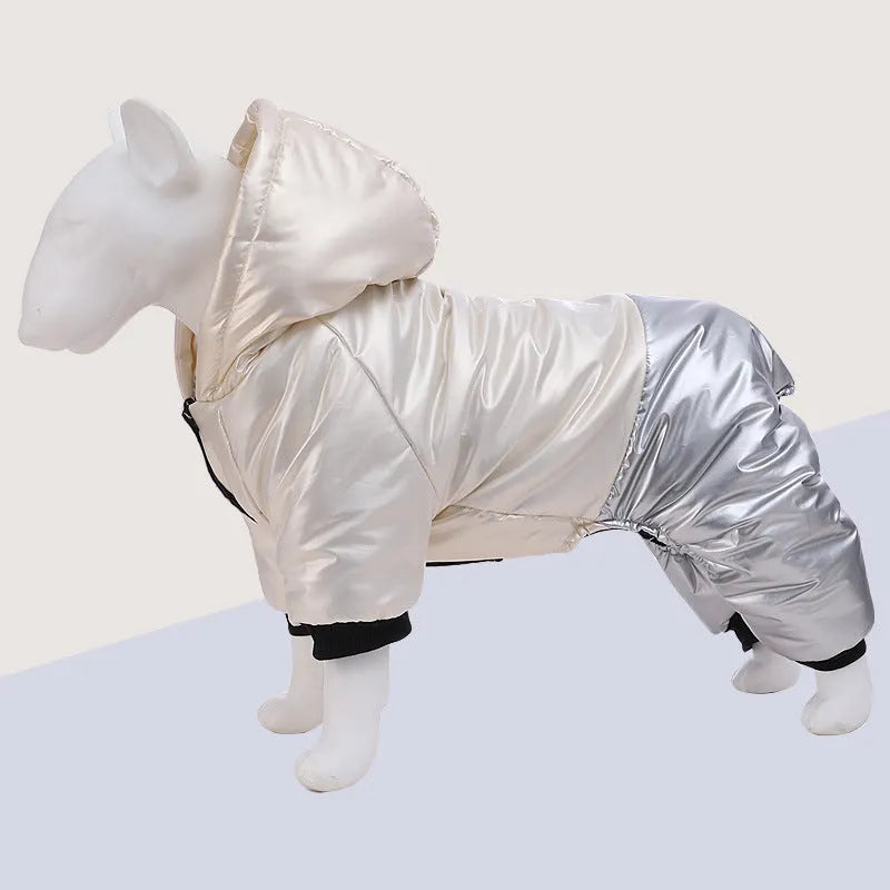 Green waterproof windproof cotton dog coat on four-legged pet