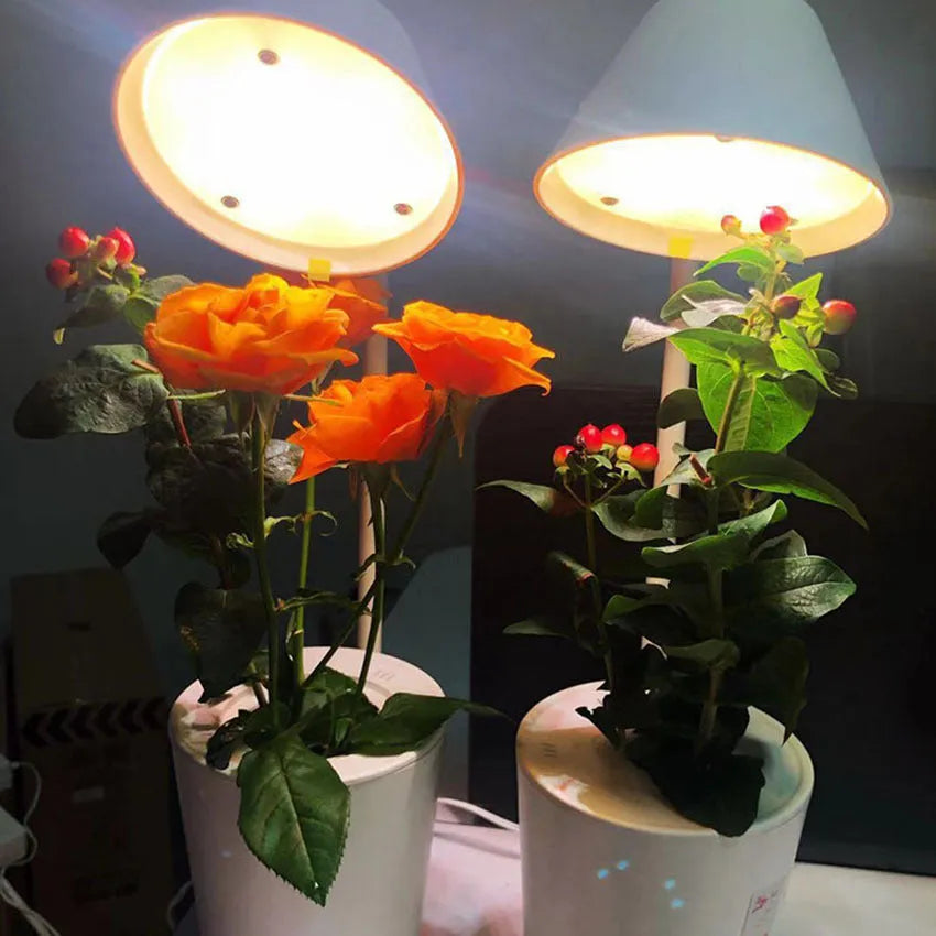White plastic desktop hydroponic growing system for soilless indoor plant cultivation