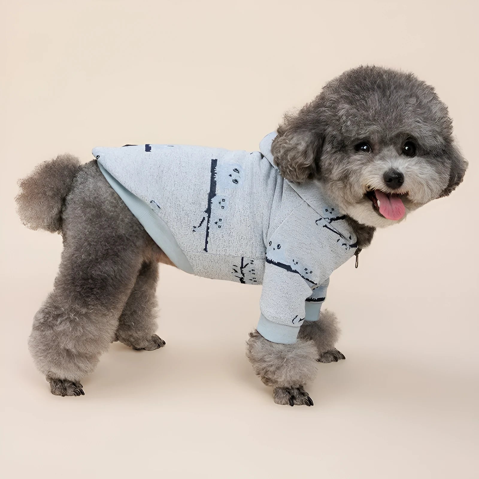 Blue cotton dog sweater with front zipper closure on small dog model