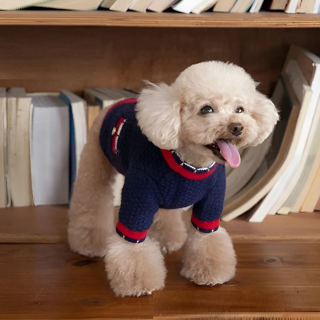 Classic style Bejirog wool sweater cardigan pet clothes in blue, princess style, front view