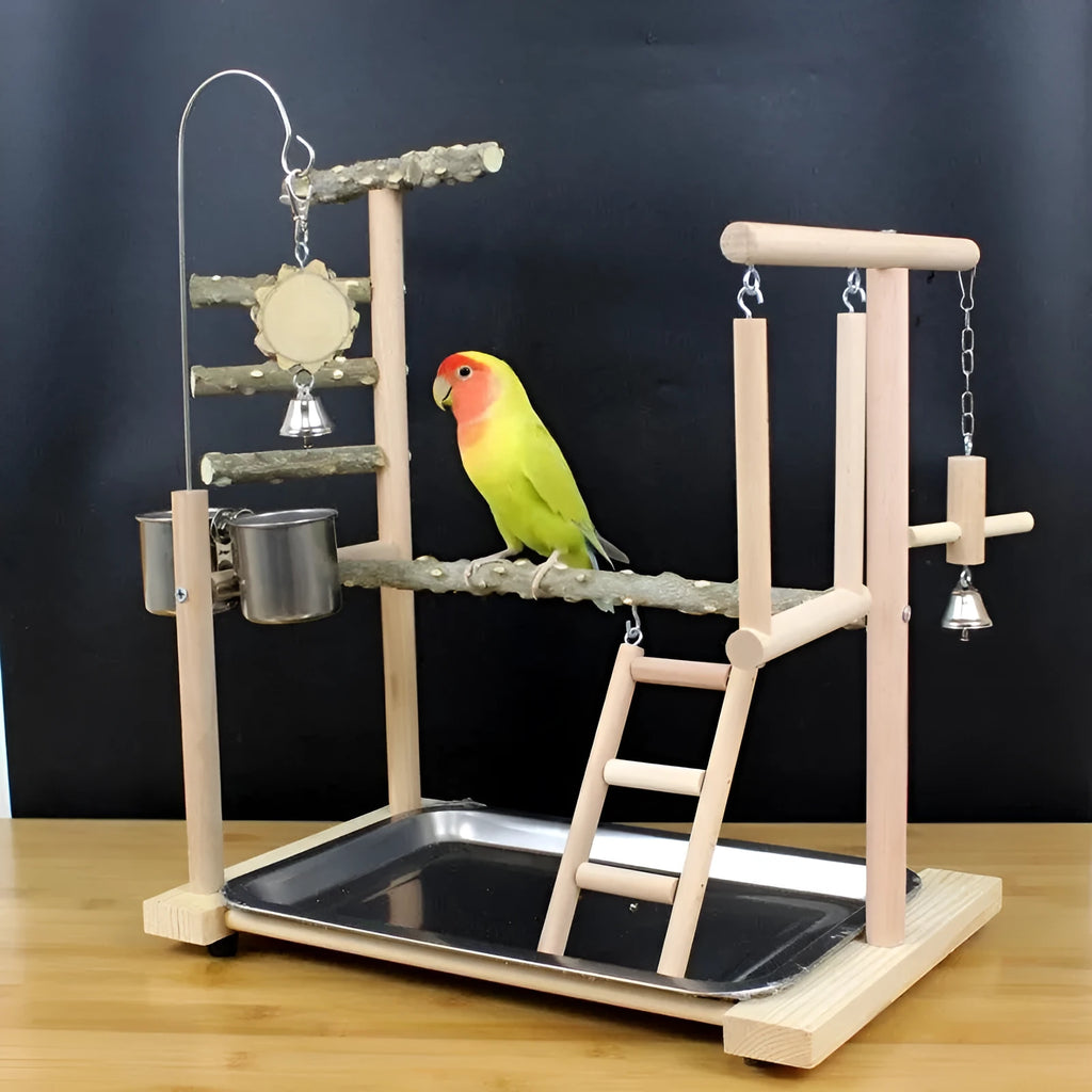 Parrot toy stand with pepper wood pole, a colourful bird swing, and a platform for cage enrichment.