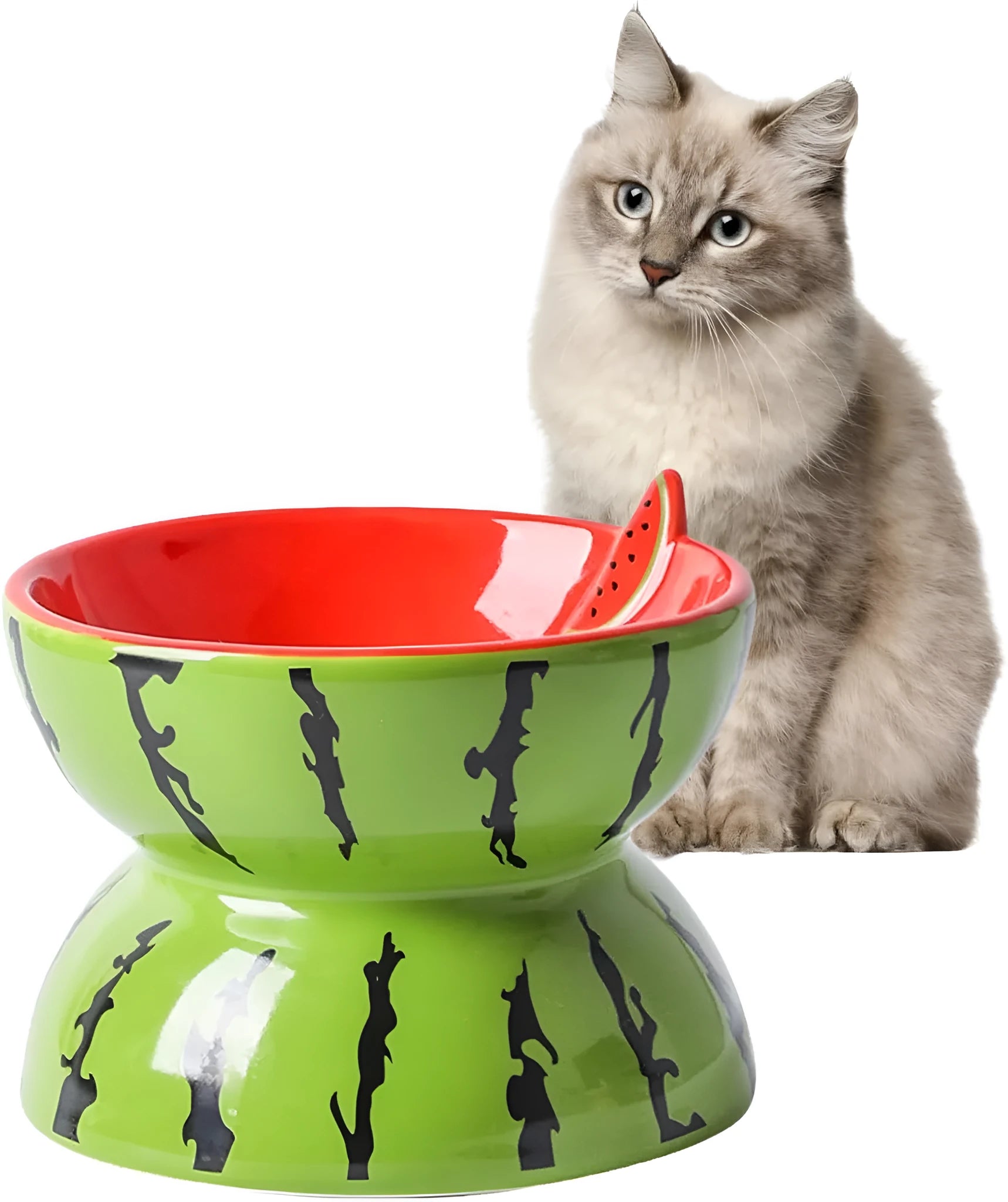 Orange ceramic raised cat bowl with tilted design and non-slip base.