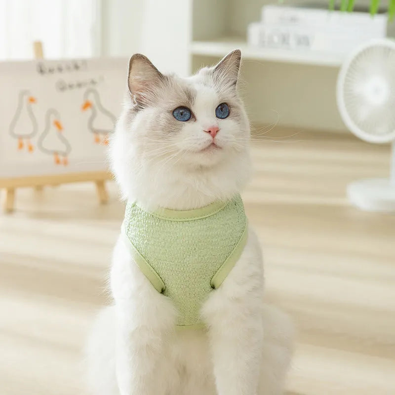 Green knitted cat clothing with a bear patch, showing hollowed-out breathable knit fabric.