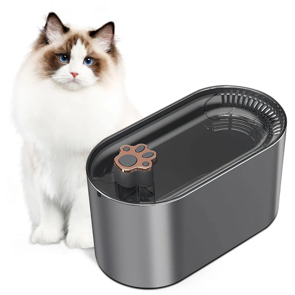 3L automatic pet water fountain in Berlin blue colour with LED light and quiet pump