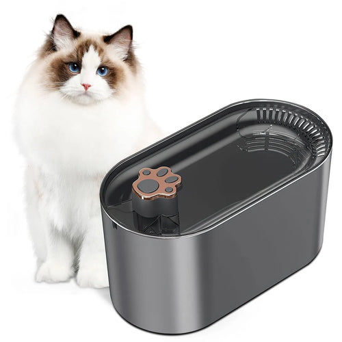 3L automatic pet water fountain in Berlin blue colour with LED light and quiet pump