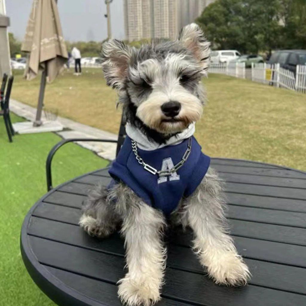 Blue and grey white pet hoodie sweater with reflective letters for cats and dogs in slim-fitting polyester