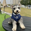 Blue and grey white pet hoodie sweater with reflective letters for cats and dogs in slim-fitting polyester