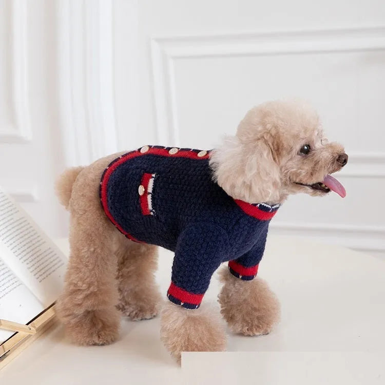 Classic style Bejirog wool sweater cardigan pet clothes in blue, princess style, front view