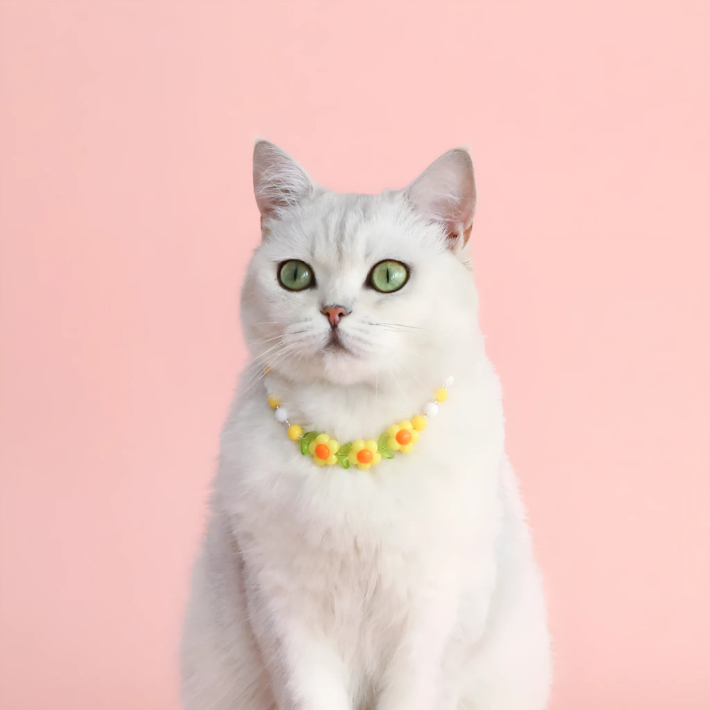 Colourful plastic pearl pet necklace with small flower, rainbow, or peach bead designs for cats