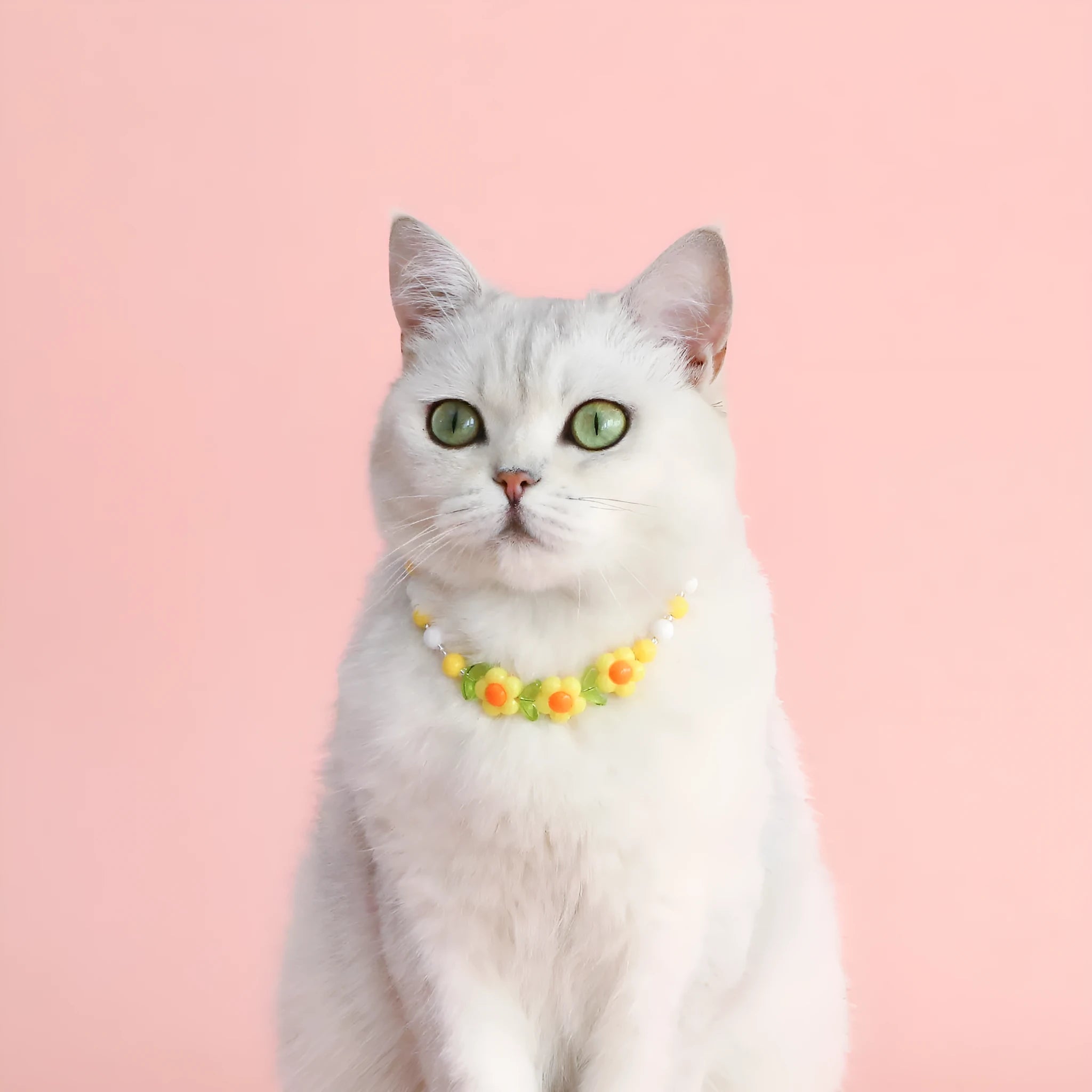 Colourful plastic pearl pet necklace with small flower, rainbow, or peach bead designs for cats