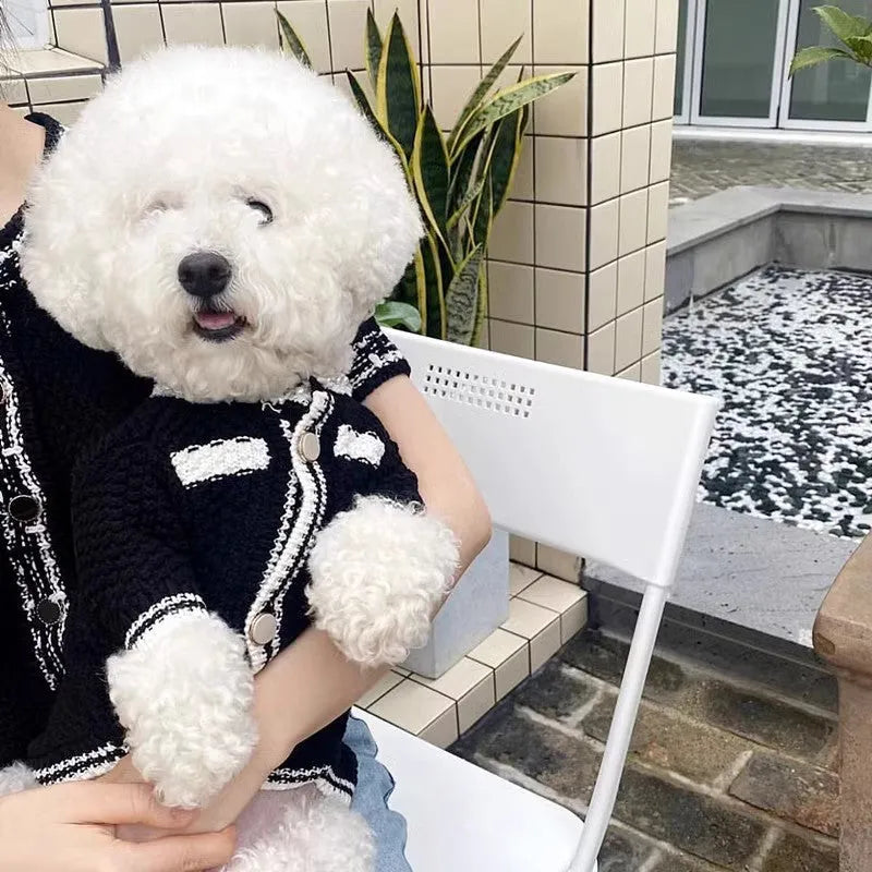 Korean style white dog sweater with pearl collar decoration on small breed dog