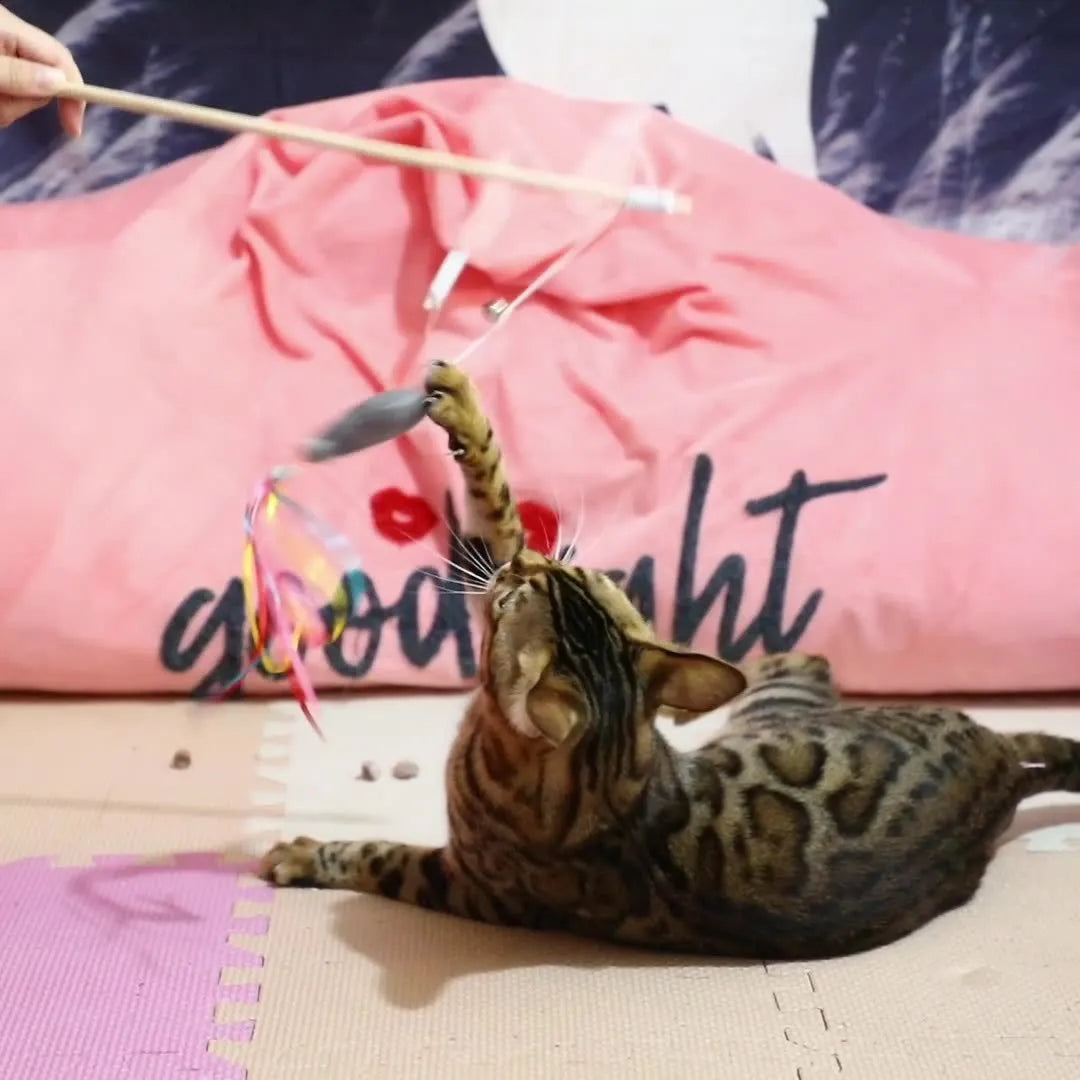 Cat wand toy with wooden handle showing colourful ribbons, catnip fish and bell attachments for interactive feline play