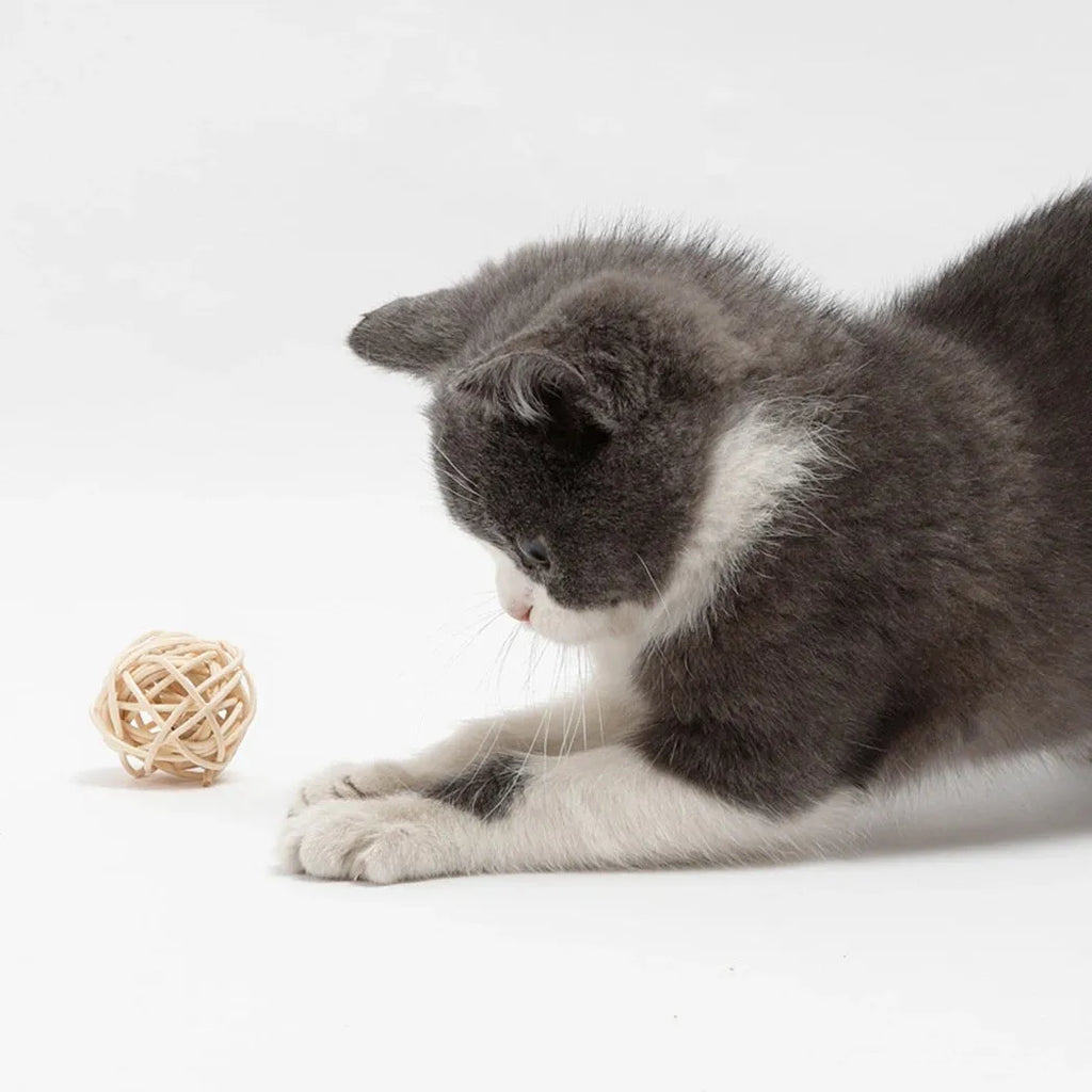 Two cat toys: hollow rattan ball and faux feather ball with bell on primary coloured background