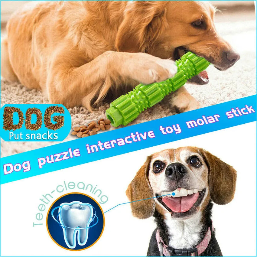 Green and orange rubber dog chew toy for aggressive chewers with treat dispensing hole