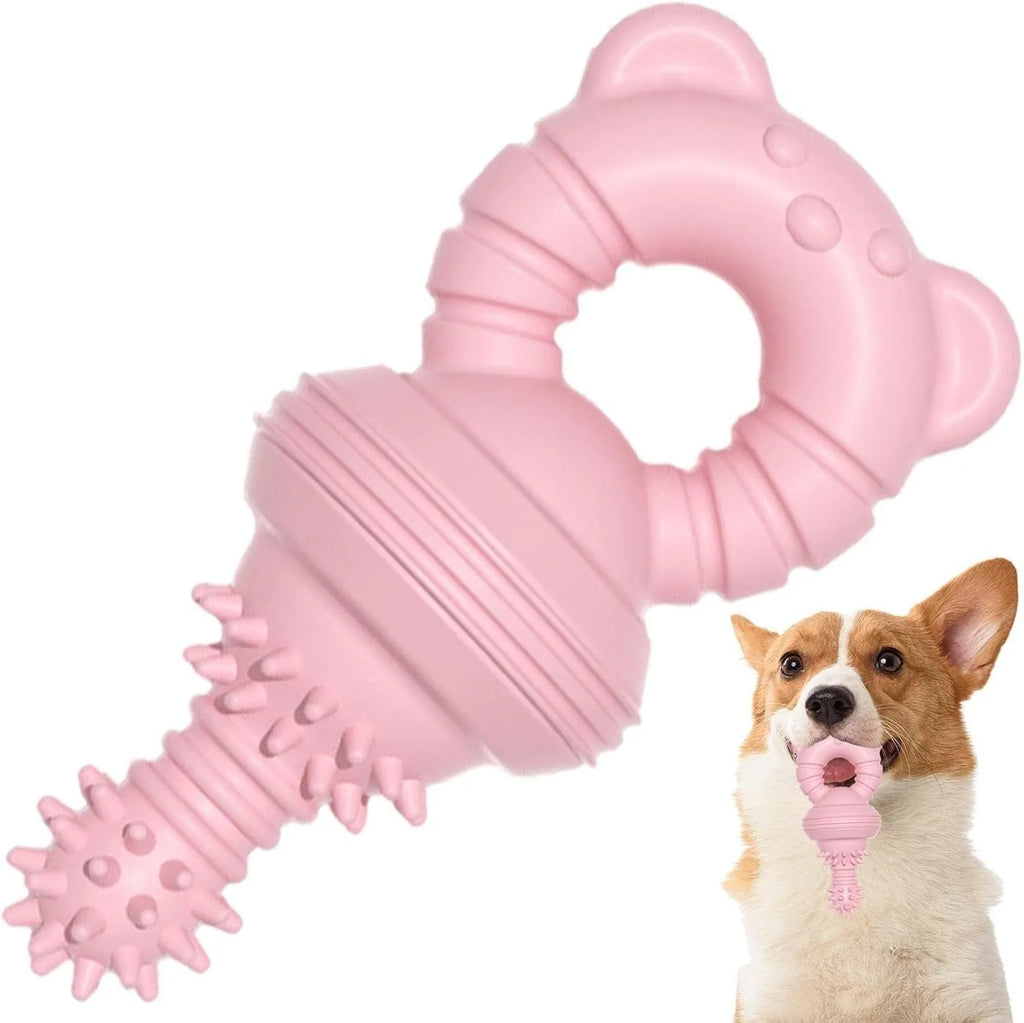 Blue rubber molar dog chew toy with bell for aggressive chewers and teeth cleaning