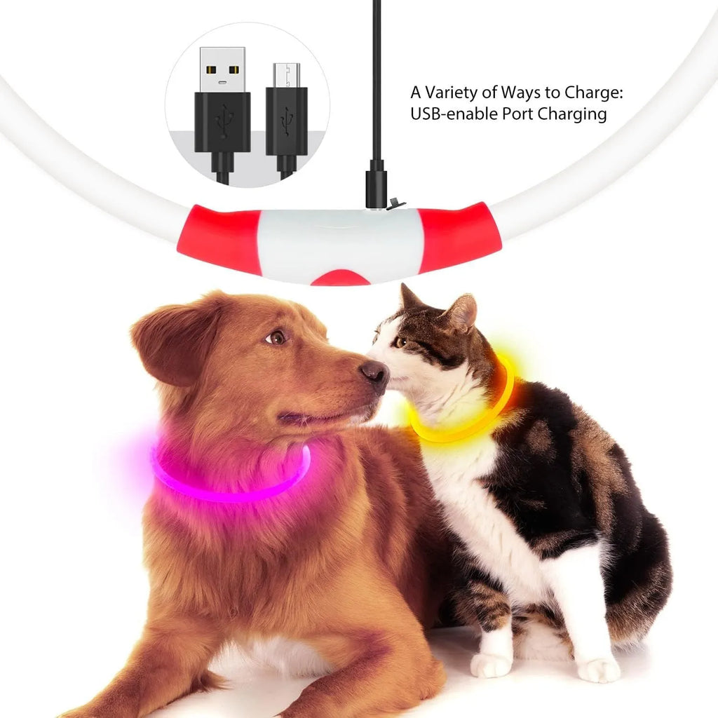 USB rechargeable LED dog collar glowing in dark with adjustable 70cm length