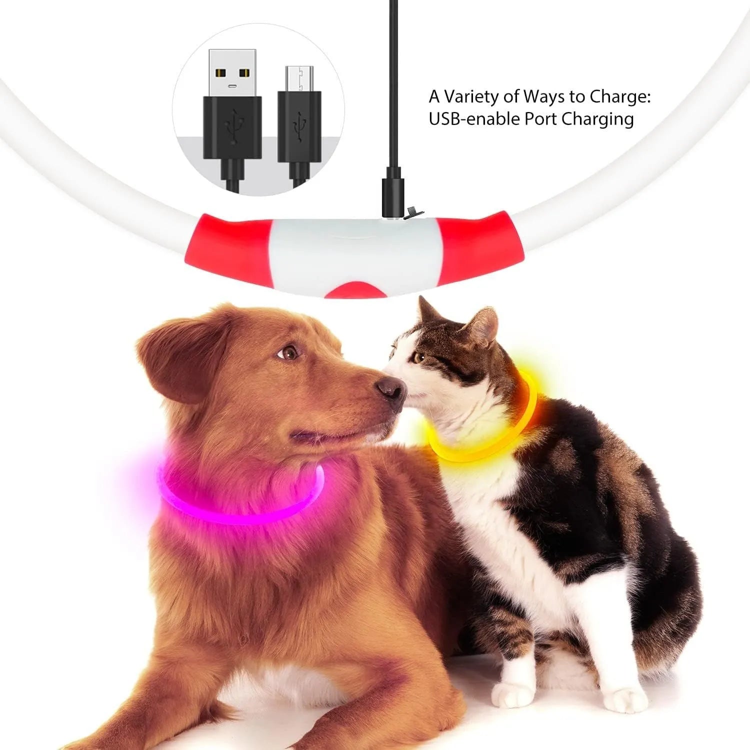 USB rechargeable LED dog collar glowing in dark with adjustable 70cm length
