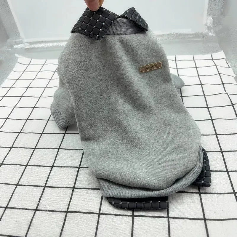 Grey dog wearing thin velvet sweater with detachable hoodie - two-piece pet clothing