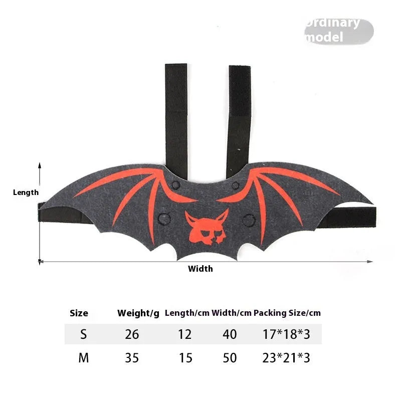 Black cat wearing an orange felt batwing Halloween costume with bell attachment.