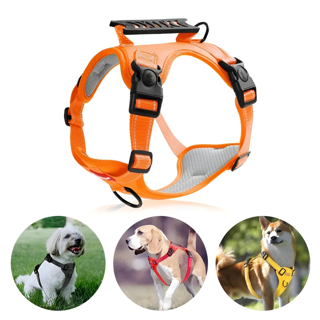 Polyester dog chest harness traction rope in red, shown in a medium size on a dog
