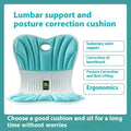 Ergonomic waist support cushion in polyester with PP filler measuring 410x350x320cm