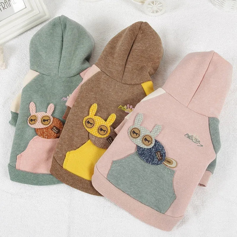 Brown cotton pet sweatshirt on dog showing size fit and casual design