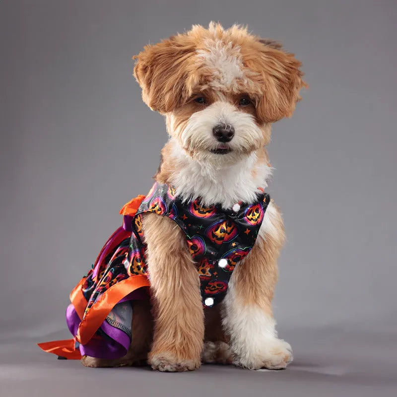 Halloween dog skirt with colourful pumpkin print, double-layer construction, casual pet costume