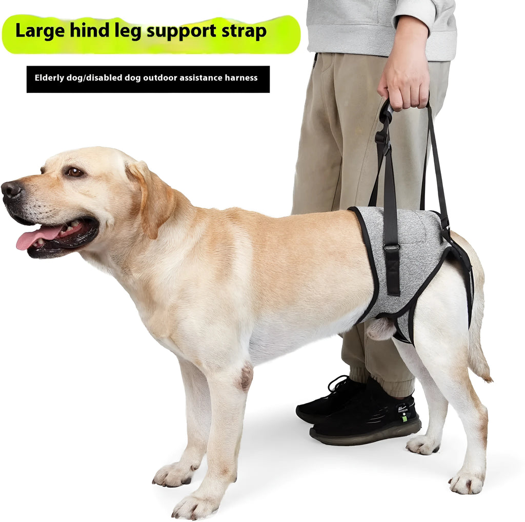 Neoprene dog rear leg auxiliary belt with adjustable waist and thigh straps in grey