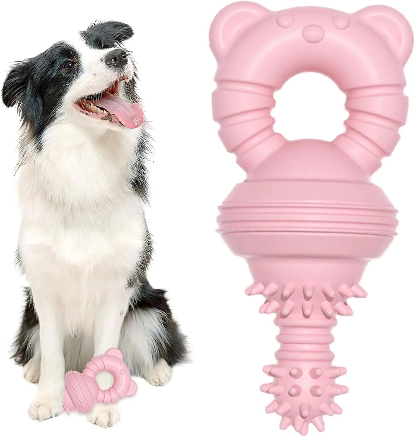 Blue rubber molar dog chew toy with bell for aggressive chewers and teeth cleaning