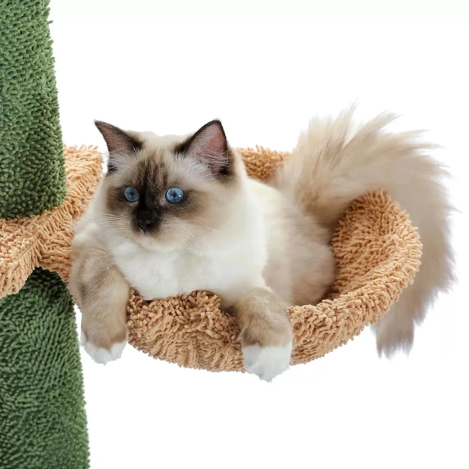 Tall solid wood cat climbing frame with integrated scratch board, high cat nest, and hidden toy compartment.